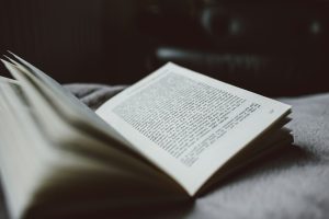 Pages of an open book in soft evening light