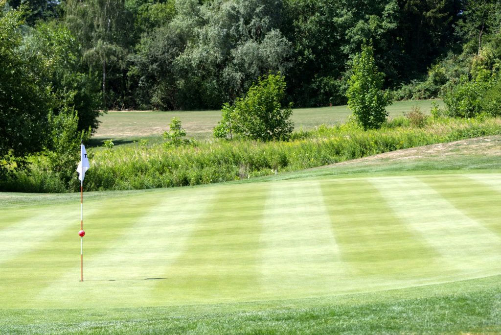 Golf green with a flagstick framed by trees