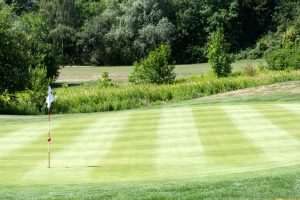 Golf green with a flagstick framed by trees