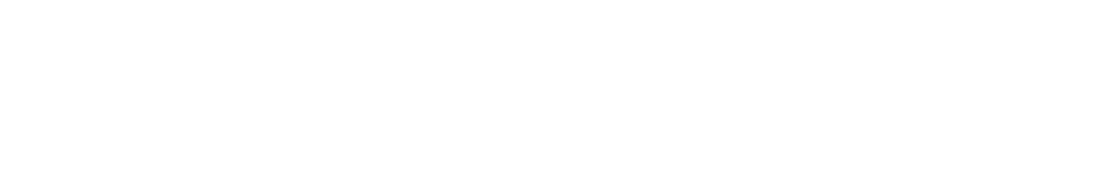 World Vital News logo
